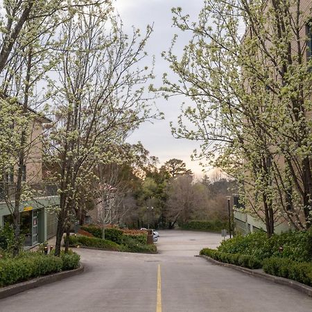 Leisure Inn Spires Leura Ngoại thất bức ảnh